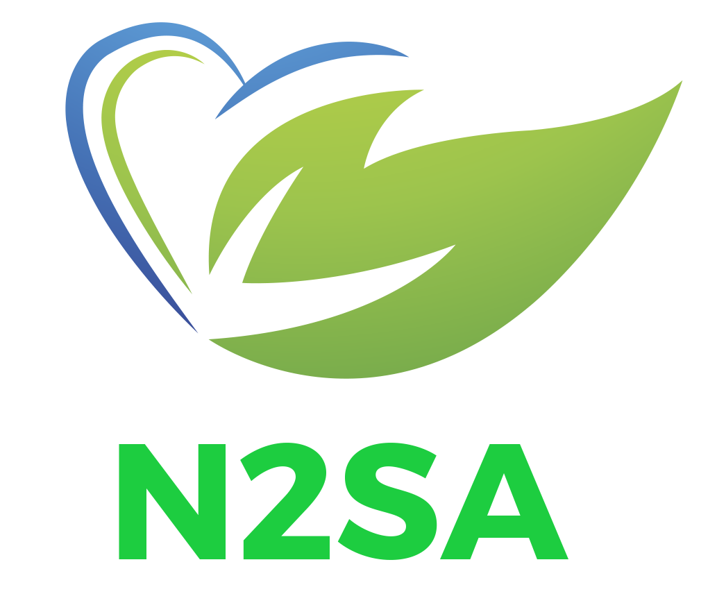 N2SA